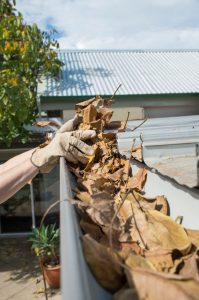 How to Get Your Gutters Ready for Fall