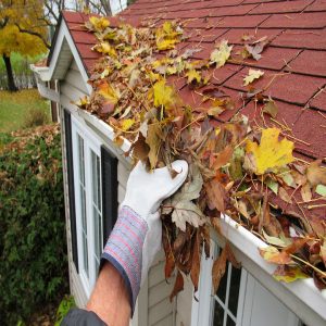 The Importance of Cleaning Your Gutters This Fall jm amos contracting